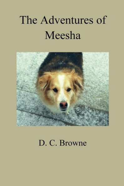 The Adventures Of Meesha