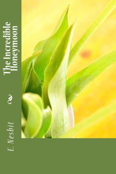 The Incredible Honeymoon - 9781538062562