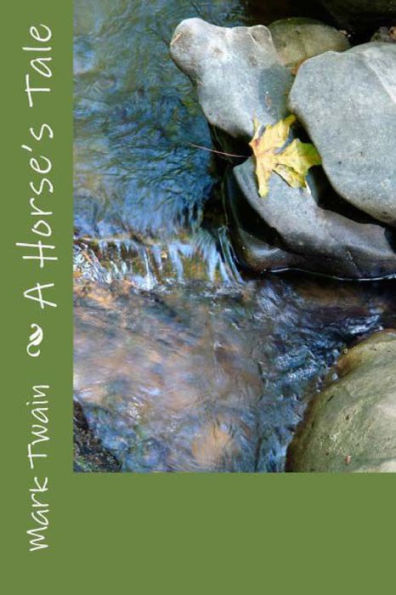 A Horse's Tale - 9781538063767