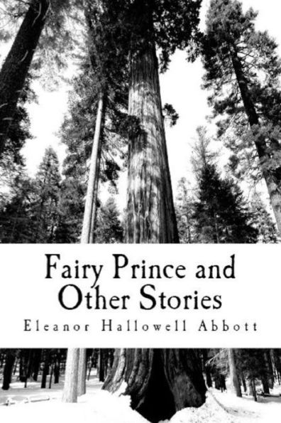 Fairy Prince And Other Stories - 9781538064757