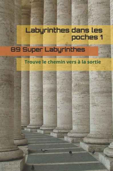 Labyrinthes Dans Les Poches 1: Trouve Le Chemin Vers ? La Sortie (French Edition)