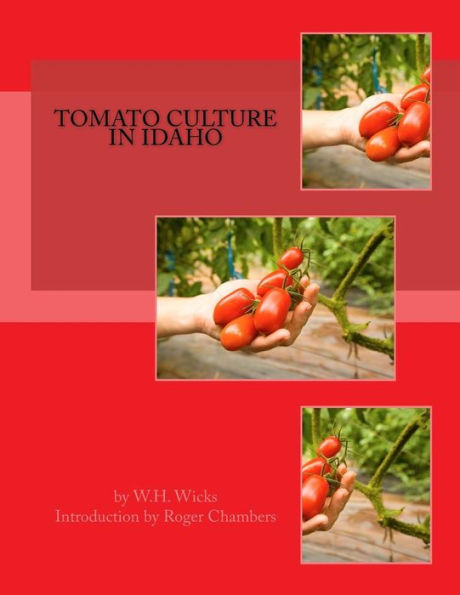 Tomato Culture In Idaho