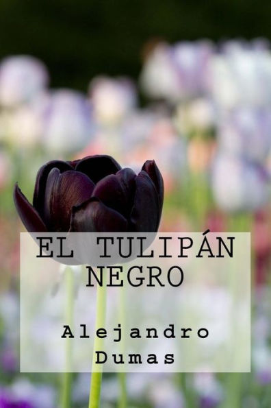 El Tulipan Negro (Spanish Edition) - 9781539608264