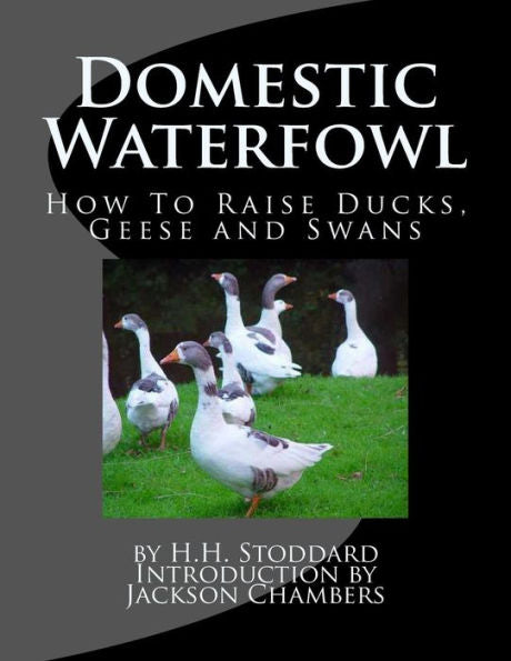 Domestic Waterfowl: How To Raise Ducks, Geese And Swans