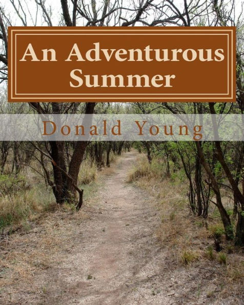 An Adventurous Summer: The Story Of A Young Family?S Search For Happiness And A Different Lifestyle