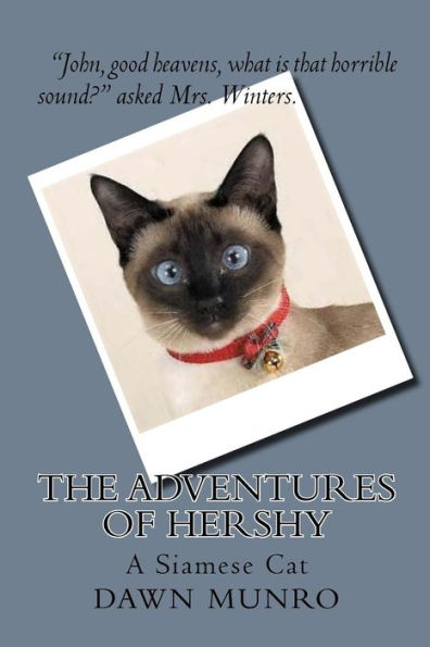The Adventures Of Hershy: A Siamese Cat