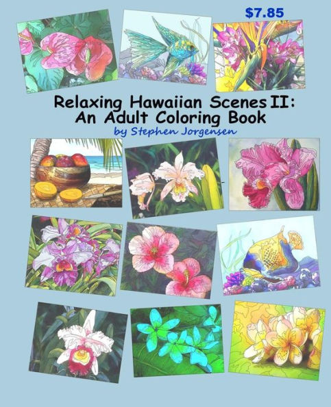 Relaxing Hawaiian Scenes Ii: An Adult Coloring Book