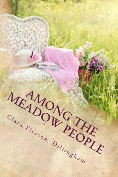 Among The Meadow People - 9781540391810