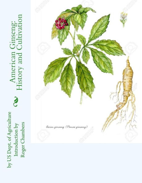 American Ginseng: History And Cultivation