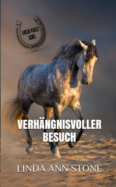 VerhAngnisvoller Besuch (Green Valley Serie) (German Edition)