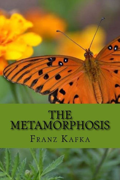 The Metamorphosis - 9781540680181