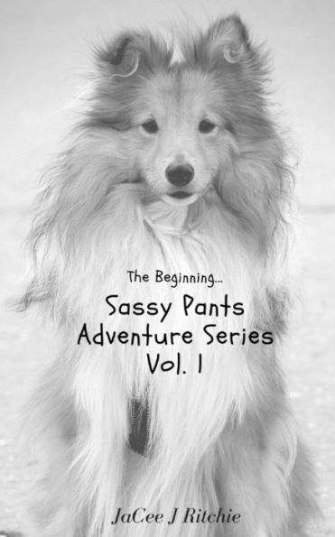 The Beginning... (Sassy Pants Adventure Series)