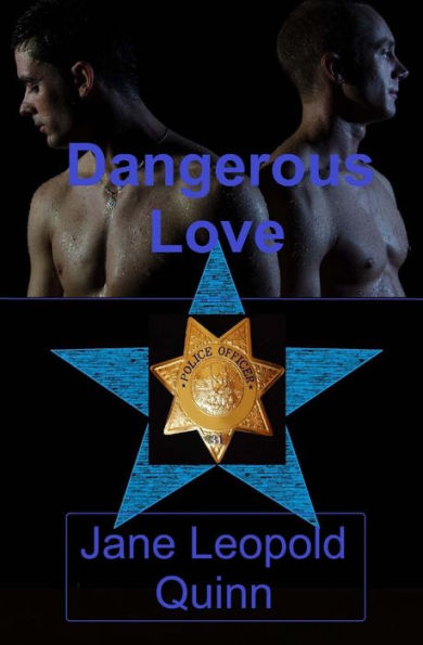 Dangerous Love - 9781540723208