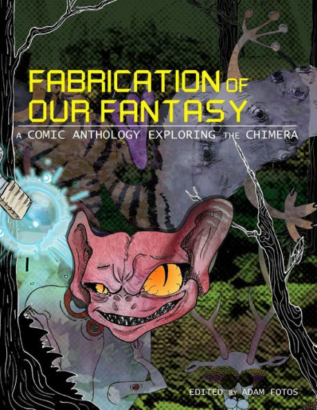 Fabrication Of Our Fantasy