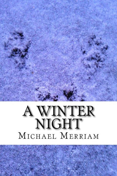 A Winter Night - 9781541176676
