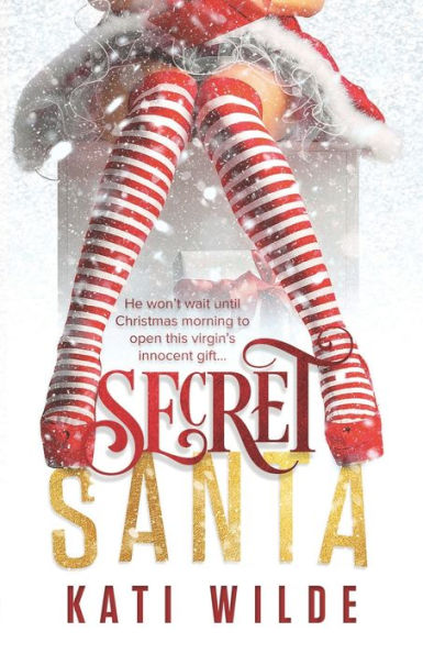 Secret Santa - 9781541196483