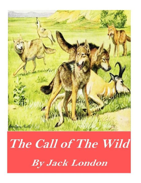 The Call Of The Wild - 9781541376250