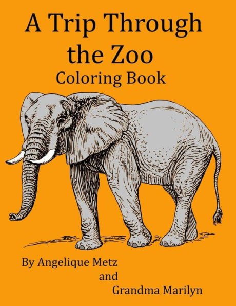 A Trip Through The Zoo Coloring Book
