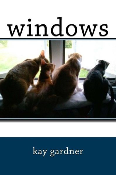 Windows - 9781542636995