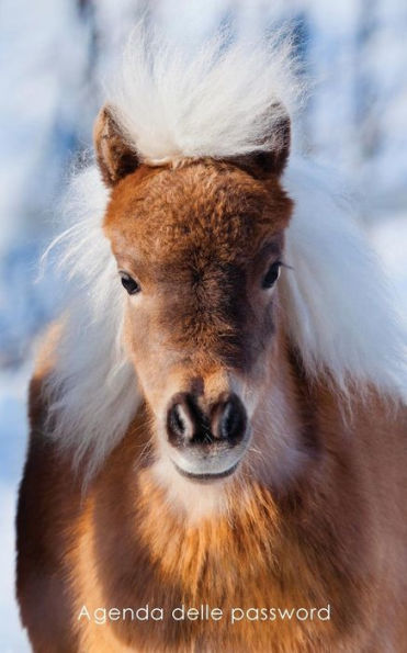 Agenda Delle Password: Agenda Degli Indirizzi Web E Delle Password Di Accesso - Copertina Piccolo Pony (Agende Per Amanti Dei Cavalli) (Italian Edition)