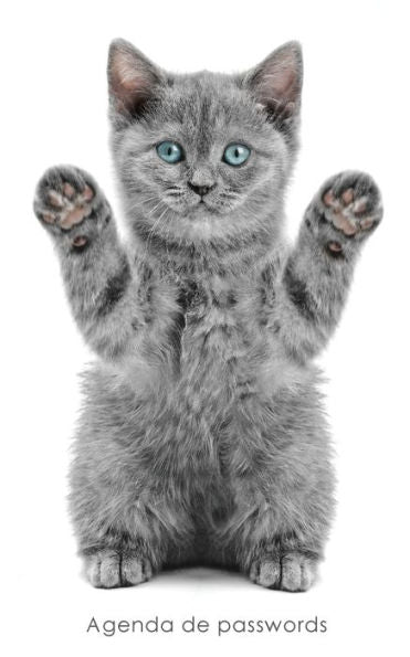 Agenda De Passwords: Agenda Para Enderecos Electr?nicos E Passwords - Capa Gatinho Brincalhao (Agendas Com Gatos) (Portuguese Edition)