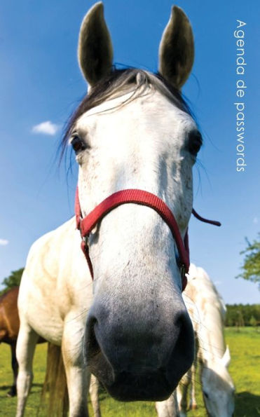 Agenda De Passwords: Agenda Para Enderecos Electr?nicos E Passwords - Capa Cavalo Curioso (Agendas Com Cavalos) (Portuguese Edition)