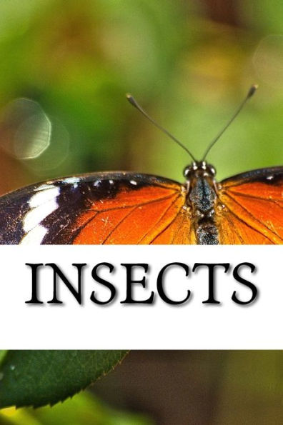 Insects - 9781542938235