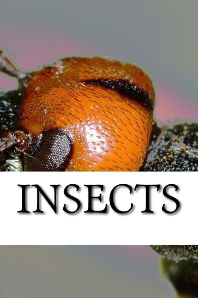 Insects - 9781542938280