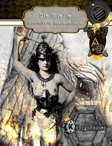#6: Die Novelle - Zeitschrift Fuer Experimentelles (German Edition)