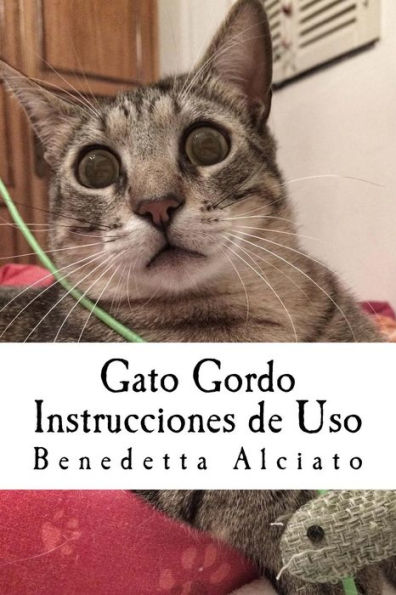 Gato Gordo: Instrucciones De Uso (Spanish Edition)