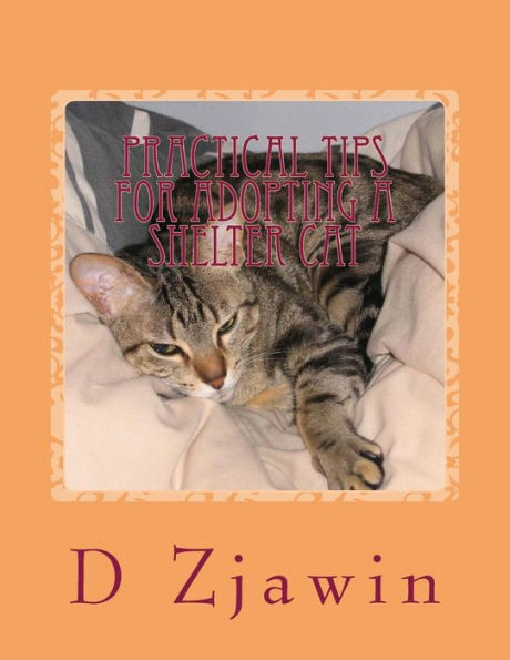 Practical Tips For Adopting A Shelter Cat