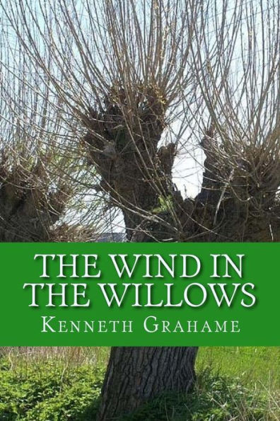 The Wind In The Willows - 9781543167016