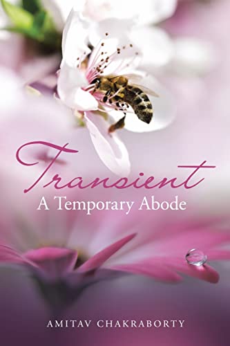 Transient A Temporary Abode