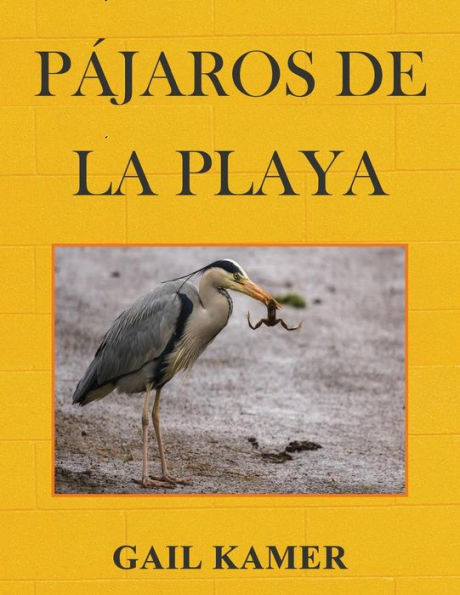 Pajaros De La Playa (Spanish Edition)