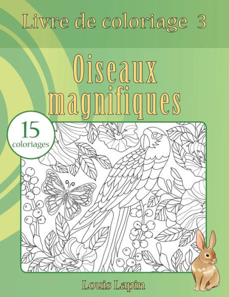 Livre De Coloriage Oiseaux Magnifiques: 15 Coloriages (French Edition)