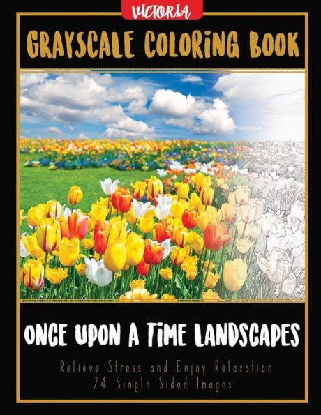 Once Upon A Time Landscapes: Grayscale Coloring Book Relieve Stress And Enjoy Relaxation 24 Single Sided Images (Grayscale Coloring Books For Stress Relief & Mindfulness)