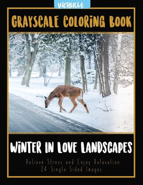 Winter In Love Landscapes: Grayscale Coloring Book Relieve Stress And Enjoy Relaxation 24 Single Sided Images (Grayscale Coloring Books For Stress Relief & Mindfulness)