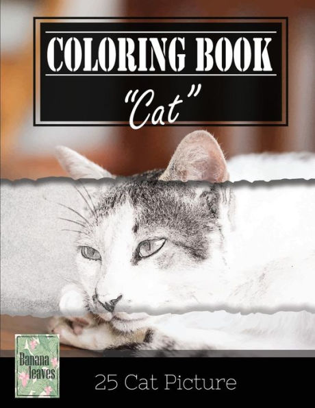 Kittens Cat Sketch Gray Scale Photo Adult Coloring Book, Mind Relaxation Stress Relief: Just Added Color To Release Your Stress And Power Brain And ... And Grown Up, 8.5" X 11" (21.59 X 27.94 Cm)