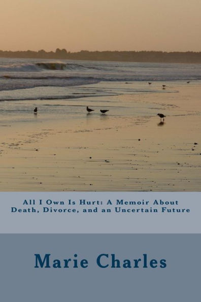 All I Own Is Hurt: A Memoir About Death, Divorce, And An Uncertain Future