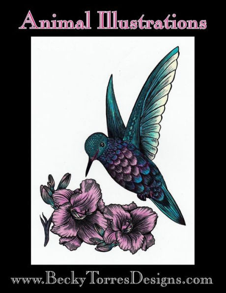 Animal Illustrations