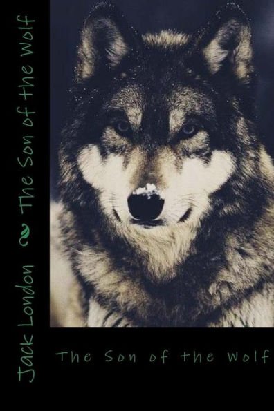 The Son Of The Wolf - 9781545159422