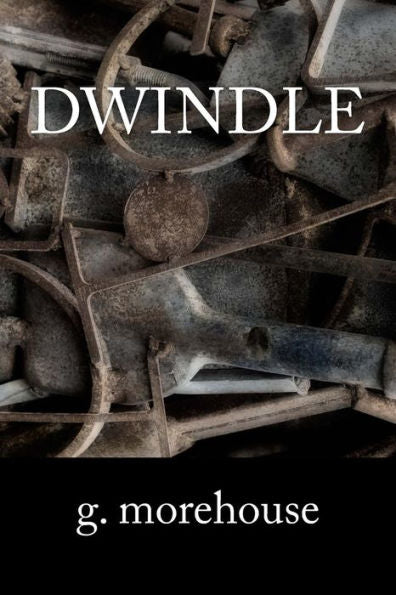 Dwindle - 9781545240090