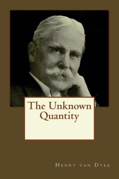 The Unknown Quantity - 9781545253229