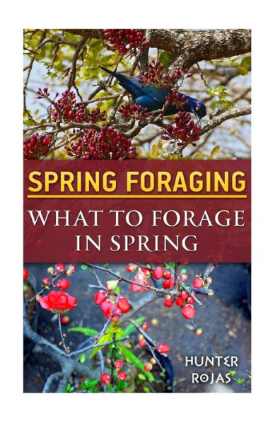 Spring Foraging: What To Forage In Spring
