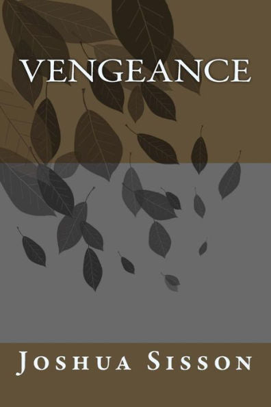 Vengeance - 9781545327913