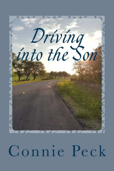 Driving Into The Son: A Devotional For Those Who Make Their Living On The Road