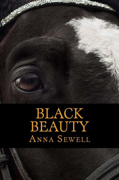 Black Beauty - 9781546356707