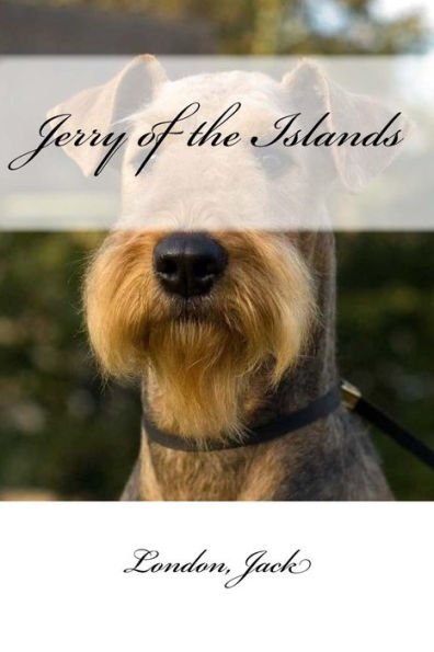 Jerry Of The Islands - 9781546446033