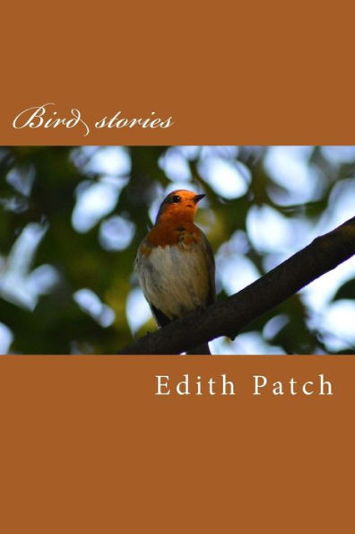 Bird Stories - 9781546485421