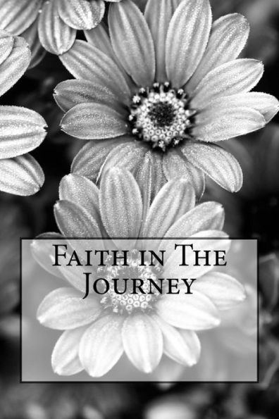 Faith In The Journey - 9781546528692